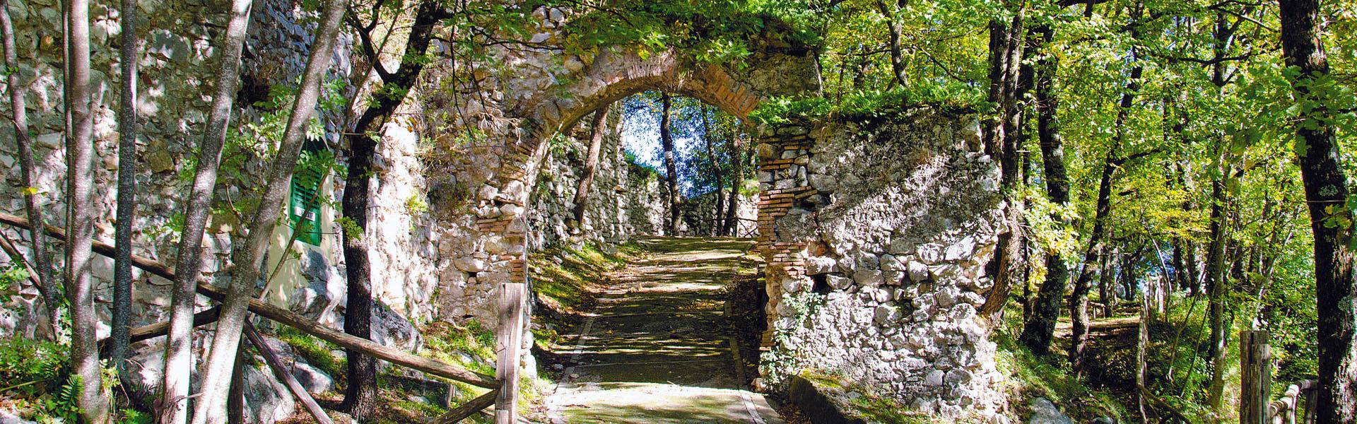 Campagna di donazione